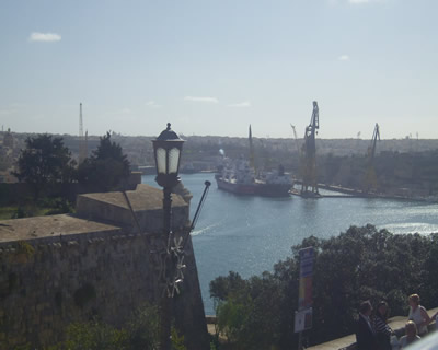 ChessOrg Bild