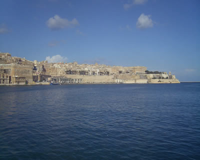 ChessOrg Bild