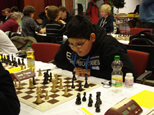 ChessOrg Bild