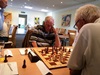 ChessOrg Bild